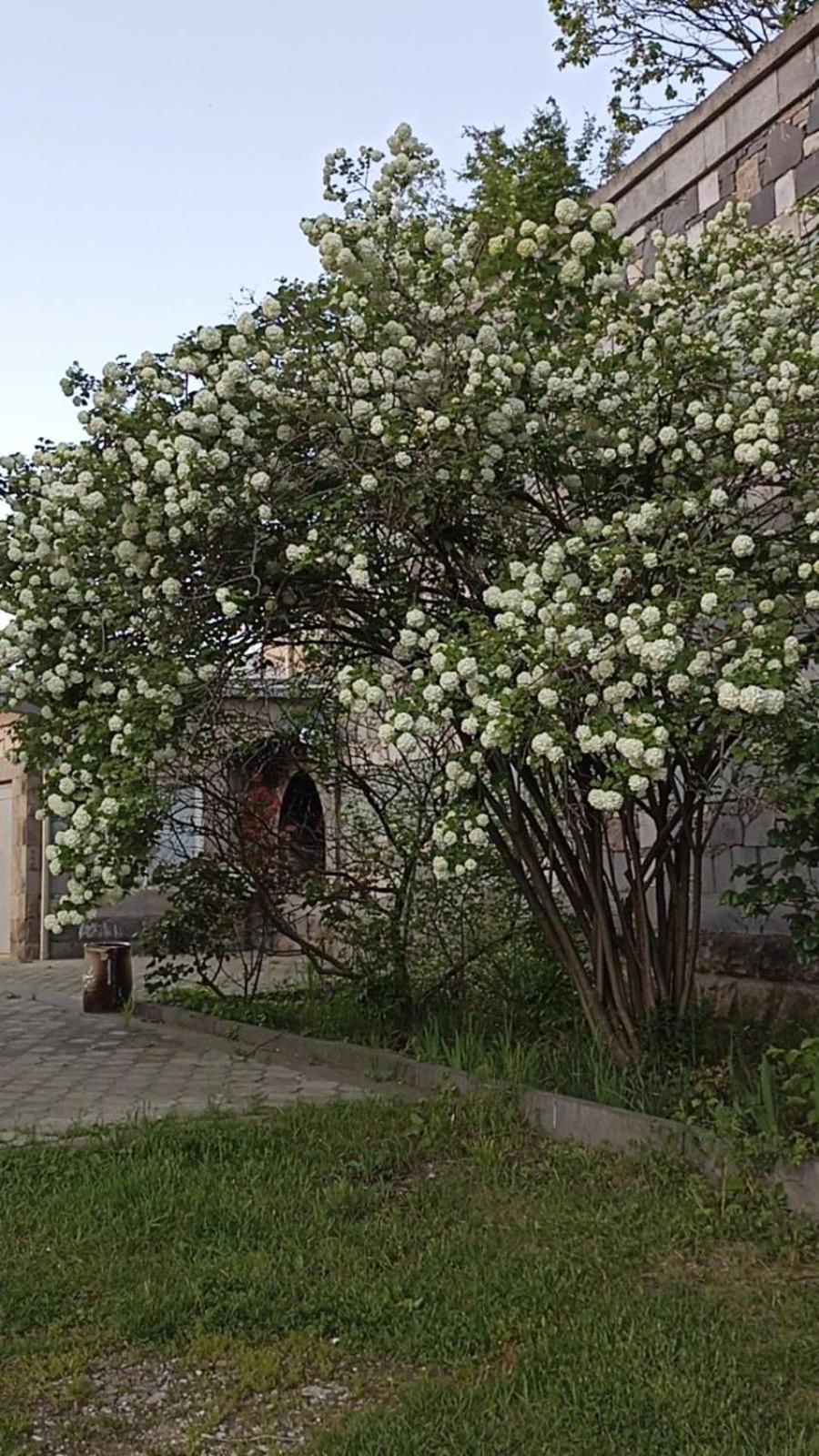 Luse Guest House Iczewan Zewnętrze zdjęcie